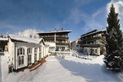 Hotel Moisl hotel in sneeuw